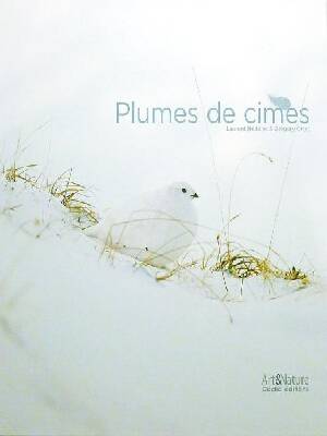 PLUMES_DE_CIMES